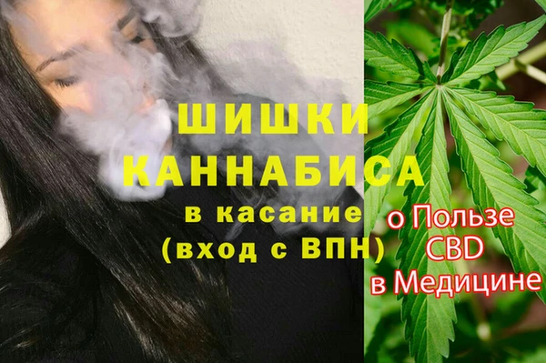 прущие грибы Белокуриха