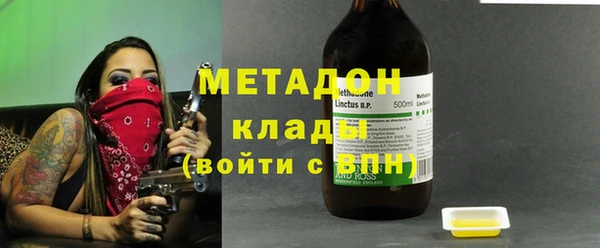 прущие грибы Белокуриха