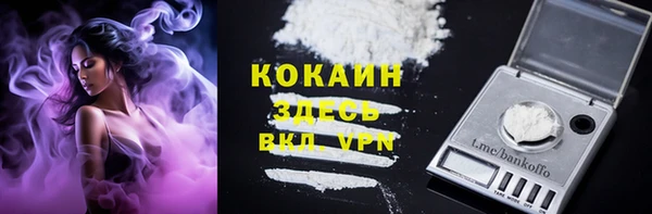 прущие грибы Белокуриха