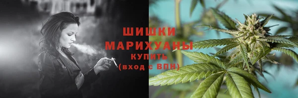 прущие грибы Белокуриха