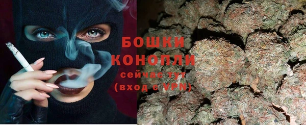 PSILOCYBIN Беломорск