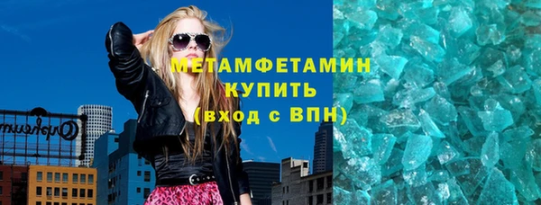 прущие грибы Белокуриха