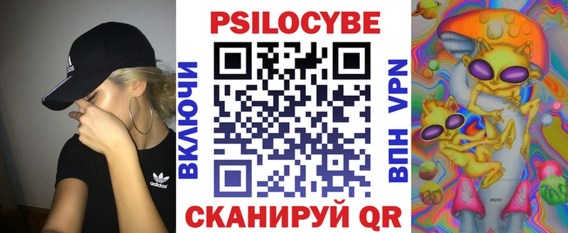 Галлюциногенные грибы Psilocybine cubensis  купить наркотик  Шарья 